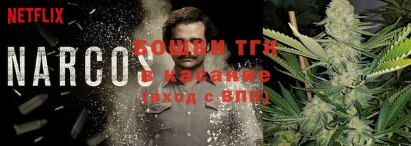 амф Верея