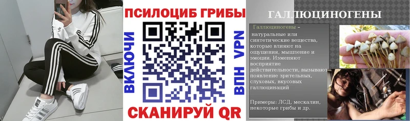 Галлюциногенные грибы мицелий  Купить где  Углич 